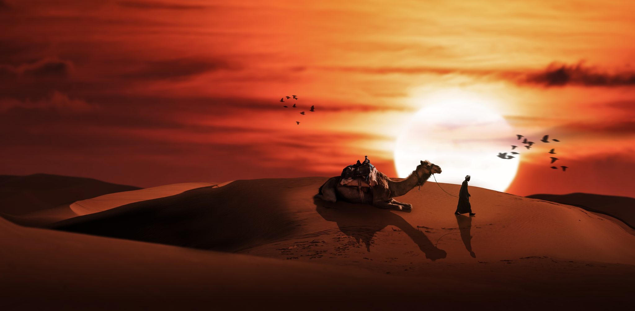 AdobeStock_341850276-2048x1004